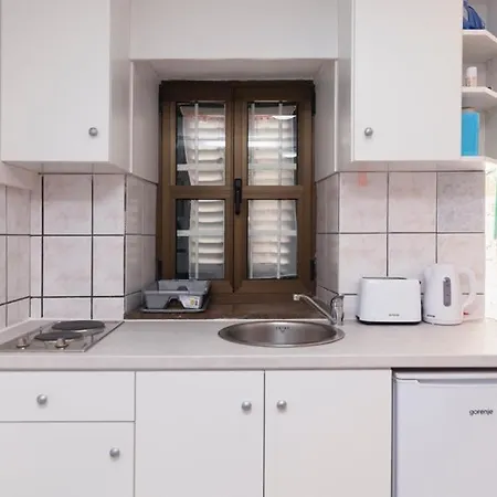 Central Rose In Hearth Of Apartment Split