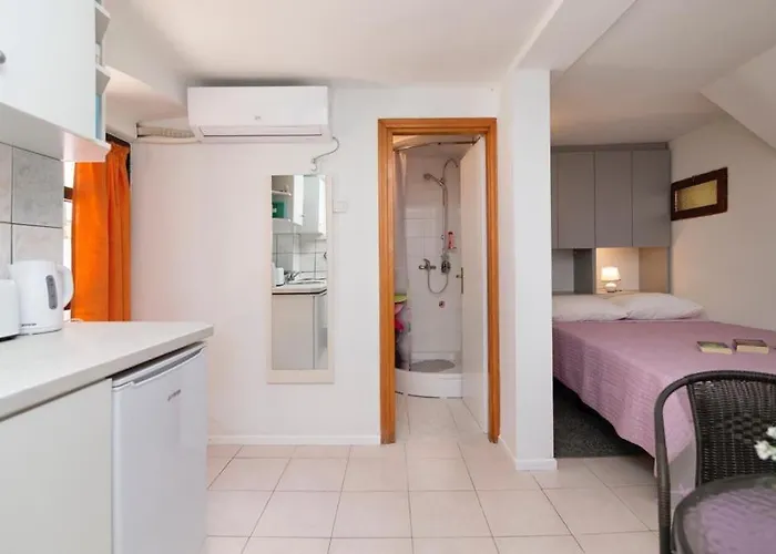 Central Rose In Hearth Of Apartment