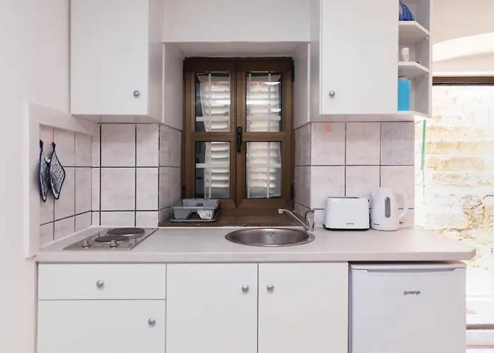 Central Rose In Hearth Of Apartment Split